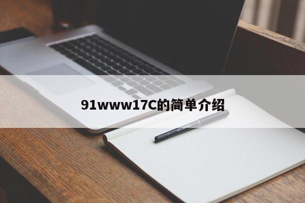 91www17C的简单介绍